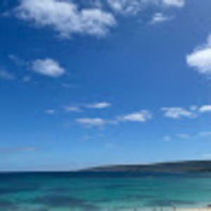 Meet your Posher, May